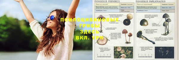 не бодяженный Богородск