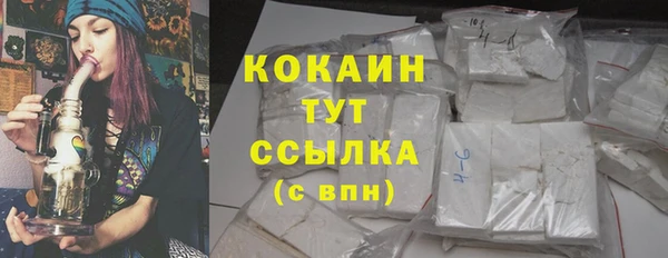 прущий лед Богданович