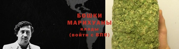 прущий лед Богданович