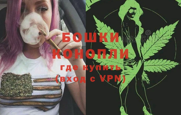 прущий лед Богданович