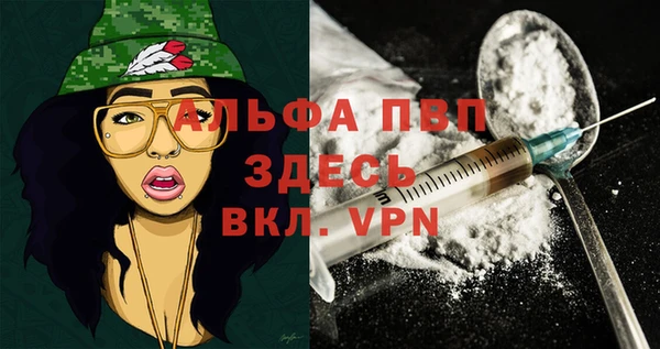прущий лед Богданович