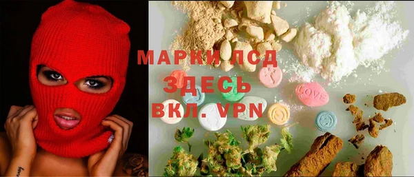 прущий лед Богданович