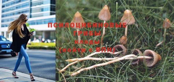 не бодяженный Богородск